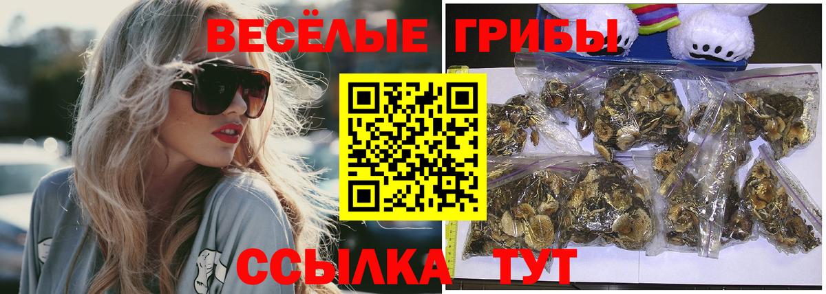 Долгопрудный  Псилоцибиновые грибы прущие грибы  Вход с VPN 